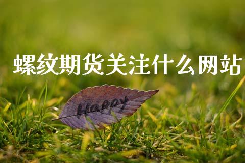 螺纹期货关注什么网站_https://cj001.lansai.wang_保险问答_第1张