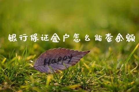 银行保证金户怎么能查余额_https://cj001.lansai.wang_股市问答_第1张