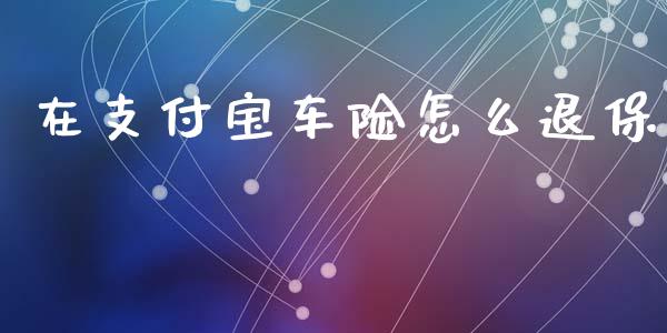 在支付宝车险怎么退保_https://cj001.lansai.wang_保险问答_第1张