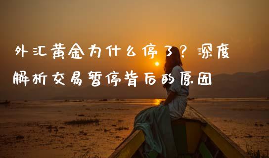外汇黄金为什么停了？深度解析交易暂停背后的原因_https://cj001.lansai.wang_金融问答_第1张