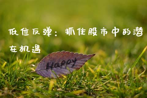 低位反弹：抓住股市中的潜在机遇_https://cj001.lansai.wang_股市问答_第1张