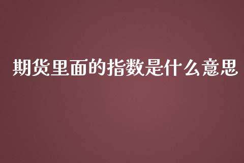 期货里面的指数是什么意思_https://cj001.lansai.wang_期货问答_第1张