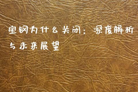 宝钢为什么关闭：深度解析与未来展望_https://cj001.lansai.wang_理财问答_第1张