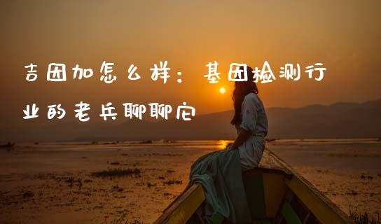 吉因加怎么样：基因检测行业的老兵聊聊它_https://cj001.lansai.wang_财经问答_第1张