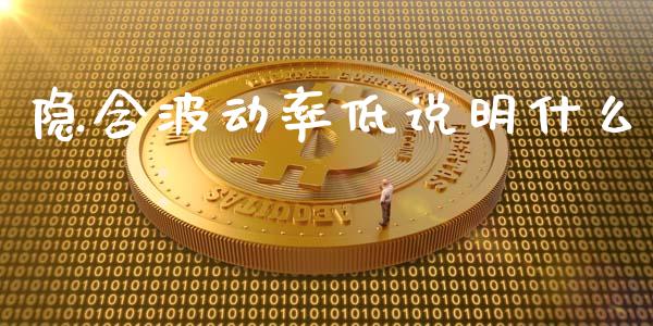 隐含波动率低说明什么_https://cj001.lansai.wang_金融问答_第1张